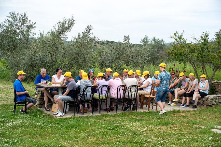 Aloades Estate_046.jpg